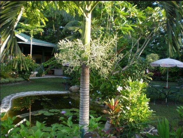 Diguoise Guest House ลาดิก ภายนอก รูปภาพ