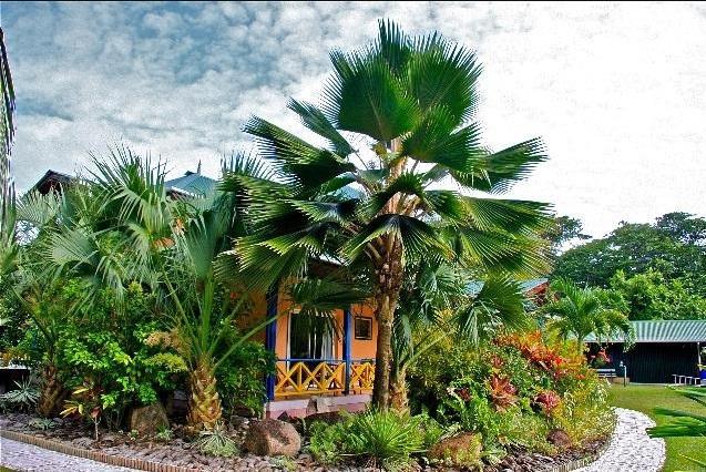 Diguoise Guest House ลาดิก ภายนอก รูปภาพ