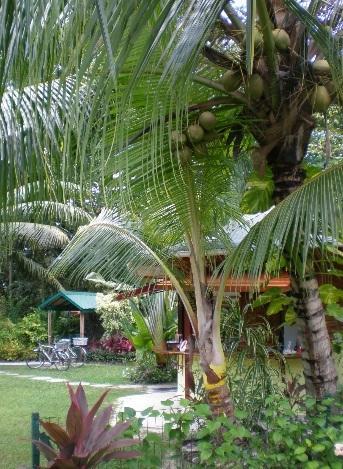 Diguoise Guest House ลาดิก ภายนอก รูปภาพ